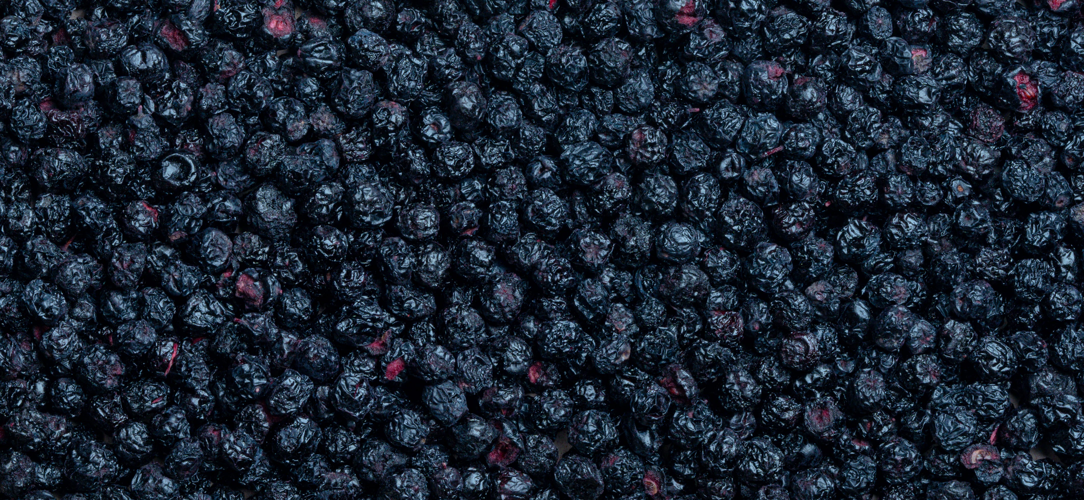 Gefriergetrocknete Aronia