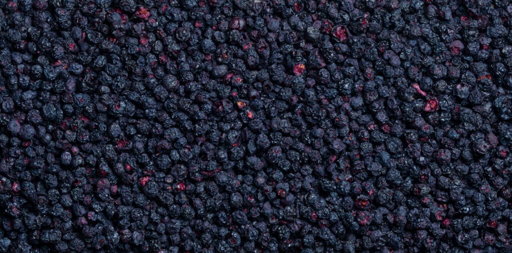 Gefriergetrocknete Heidelbeeren