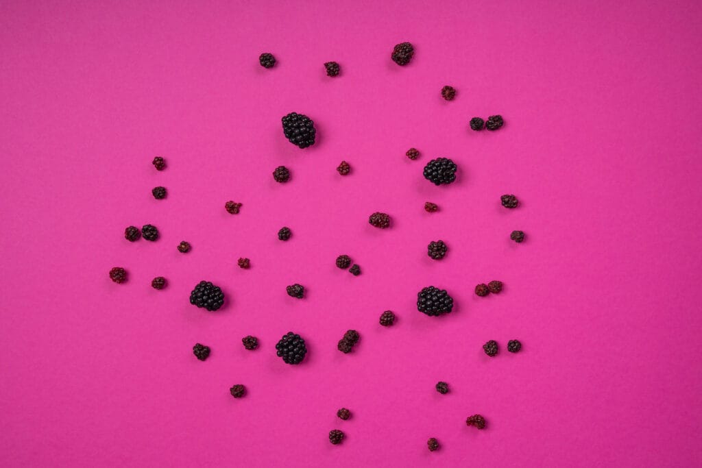 Gefriergetrocknete Heidelbeeren auf pinken Hintergrund