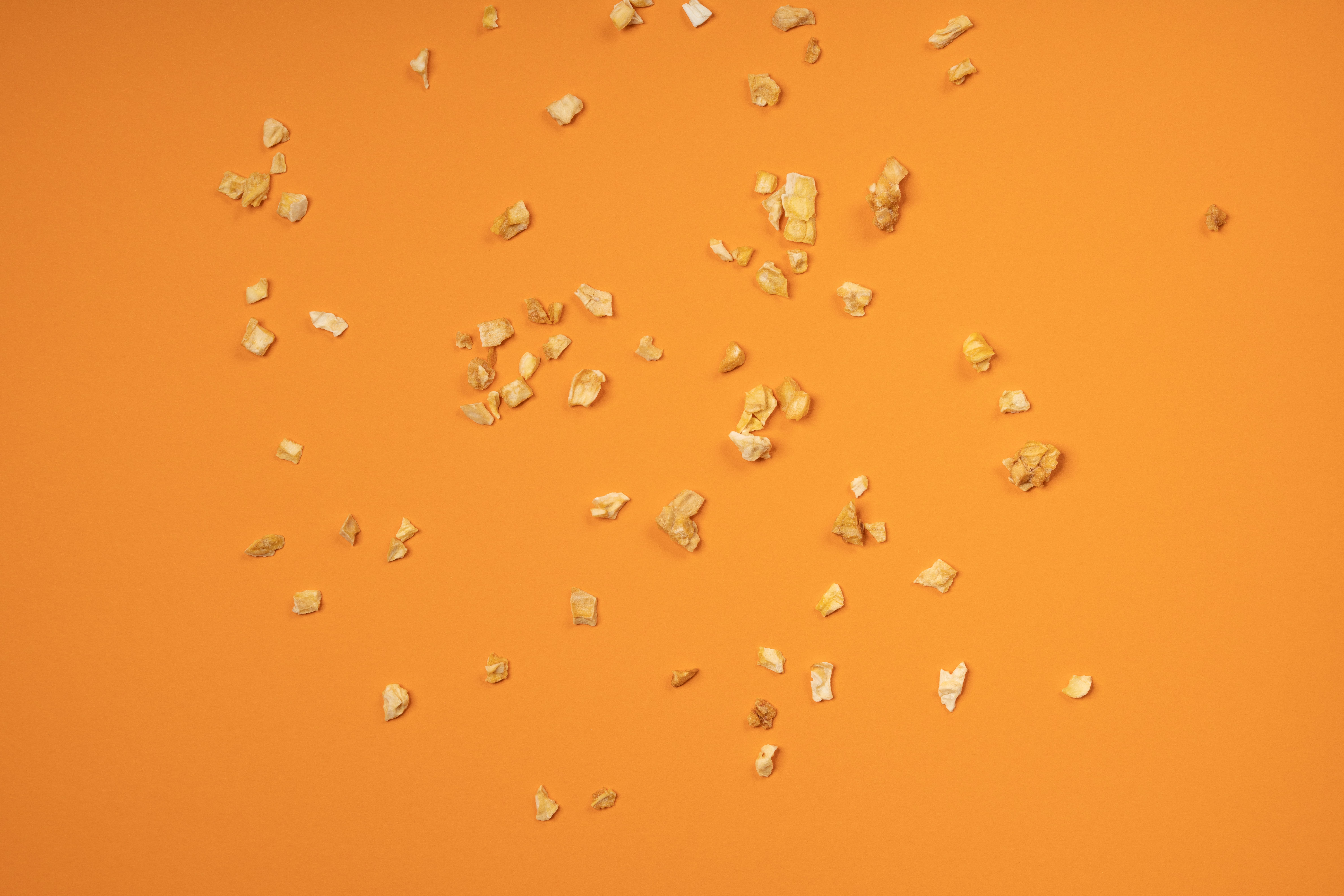 Gefriergetrocknete Jackfruit in Edelstahl Dose