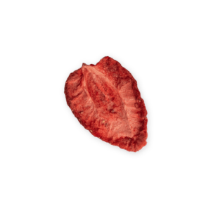 Gefriergetrocknete Erdbeere Stück