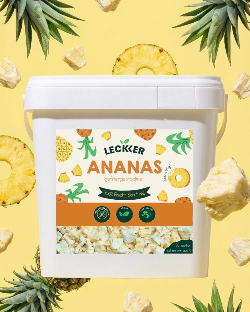 gefriergetrocknete Ananas in praktischer Refill Box