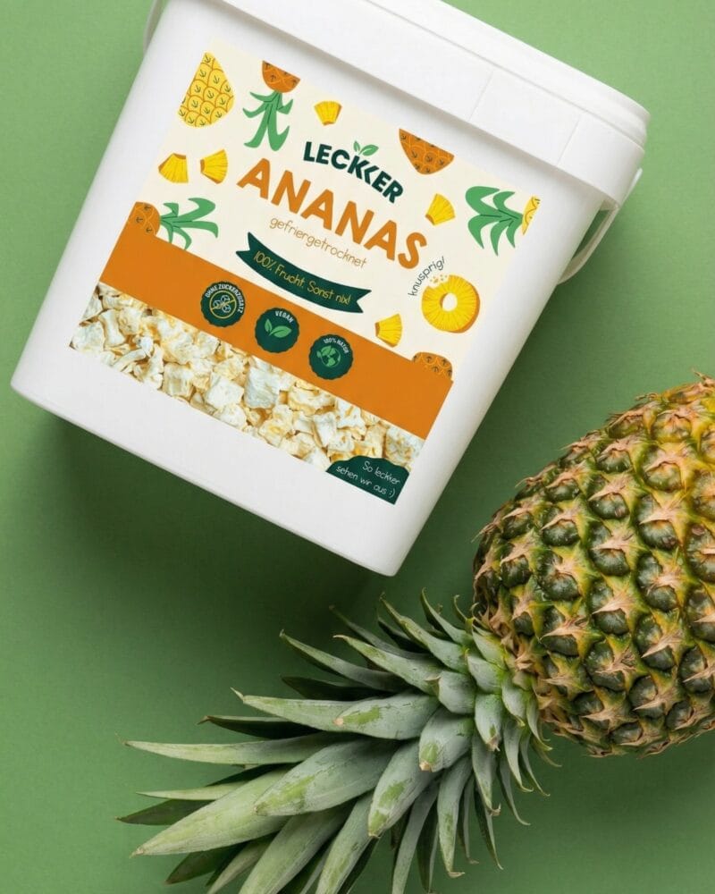 gefriergetrocknete Ananas in praktischer Refill Box