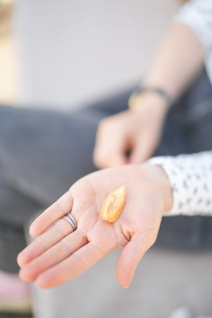 Gefriergetrocknete Erdbeeren