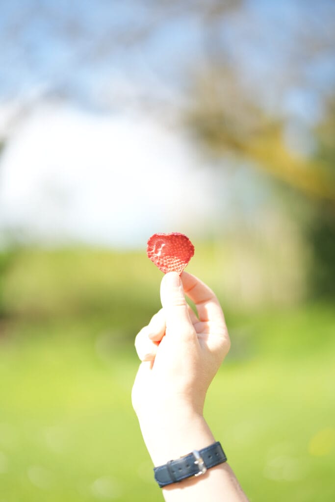 gefriergetrocknete Erdbeer Snack-Dose