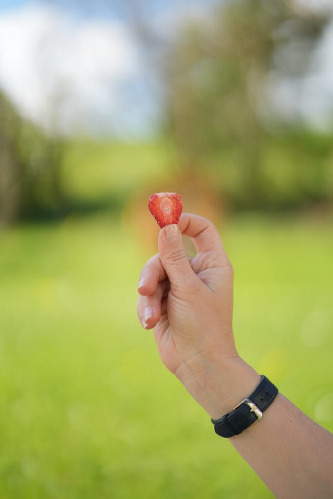 Gefriergetrocknete Erdbeeren