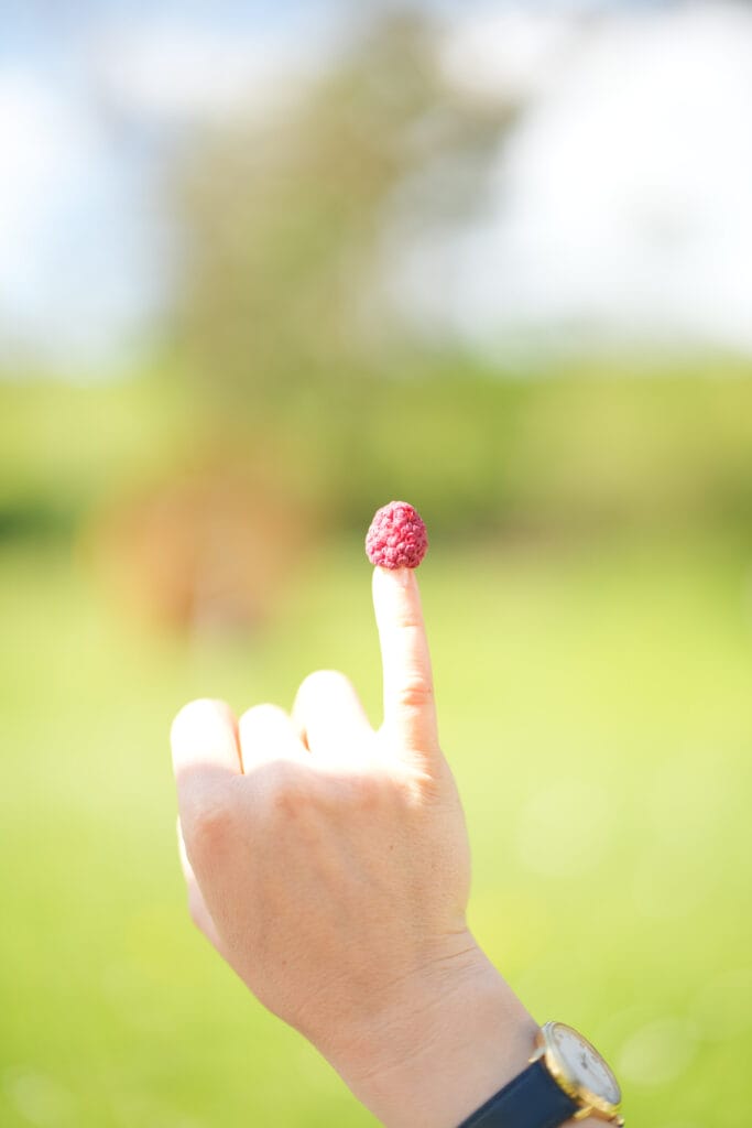 Kind sitzt in der Küche mit gefriergetrockneten Himbeeren