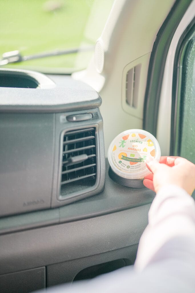 Ananas mit Sonnenbrille