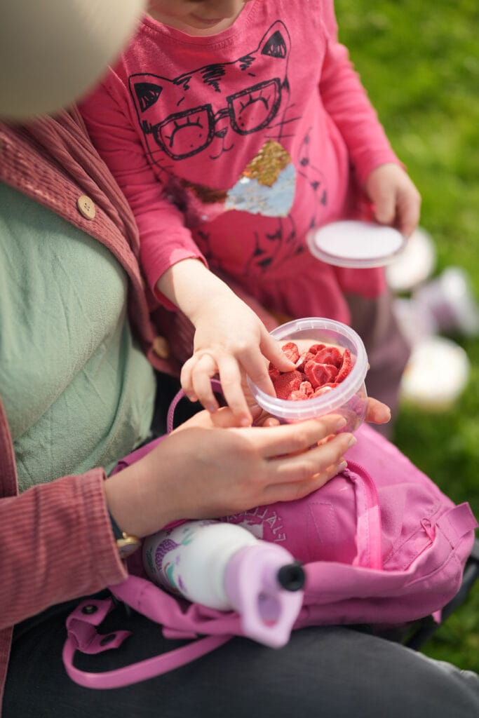 gefriergetrockneter erdbeeren snack bio