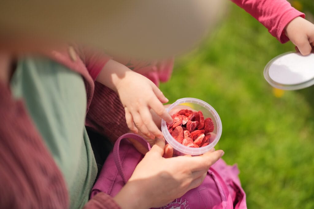 Gefriergetrocknete Erdbeeren