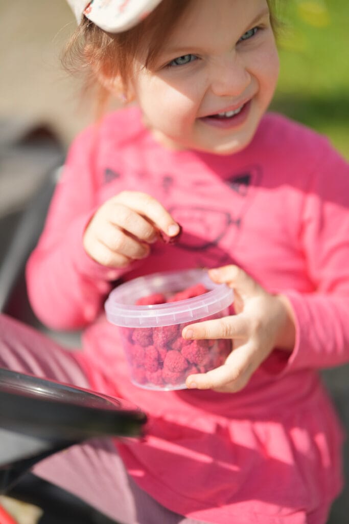 gefriergetrockneter himbeeren snack bio