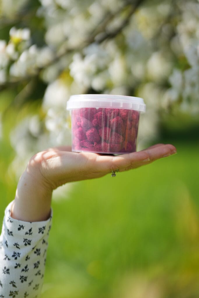 Ein Kind isst Himbeeren